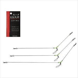 X Ln_KMV 2.9mm×50cm(seiko-041338)bނ d|