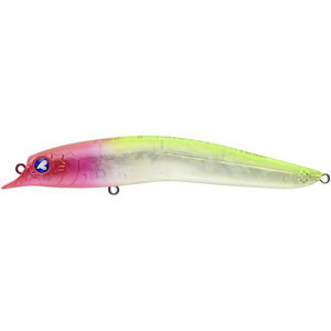 u[u[ SCARNASH(XJ[ibV) 120F #08 sN`[gNAiblue-963027j[M 1/5]bV[oX V[oXA[ VLOyV Vy  gbvEH[^[