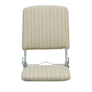 ֎q NCjO RpNg  `FA ֎q CX  ܂肽 x[WtArO`FA[ NCjO`FA ܂肽݃`FA