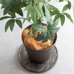 v^[X^h t[X^h LX^[t 嗝Β ؖڕ 40cm ~` ی^ ] v^[ t[bN ԑ  @ϗtA ؐ i` uE zCg 