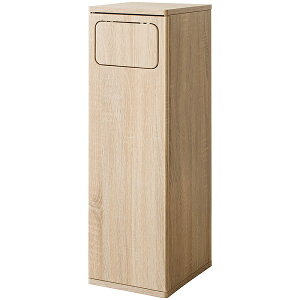 S~ _Xg{bNX ؐ 25cm 45L 45bg ؖڒ ݔ vbV Lb`y[ XfUC Vv _@uEؖ zCgؖ i`ؖ k RpNg