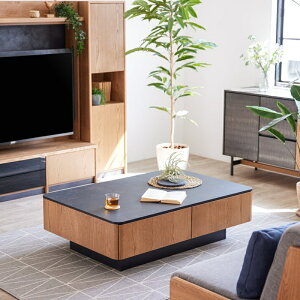 Z^[e[u rOe[u 120cm ~ o [t [ e p Ζڒ 嗝Β ` EH[ibg Be[Wi` ubN zCg { k 