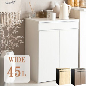 S~ 45bg  2 _Xg{bNX ؐ ݔ 45l k 60cm ؖڒ LX^[t e Lb`y[ XfUC Vv _ uEؖ zCgؖ i`