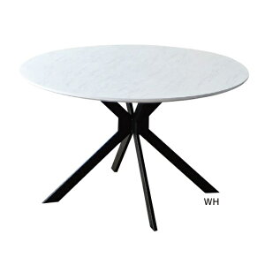 _CjOe[u ۃe[u 4l| 120cm ~  ~ fUC ی^ ~` 4lp  ubN zCg Pi
