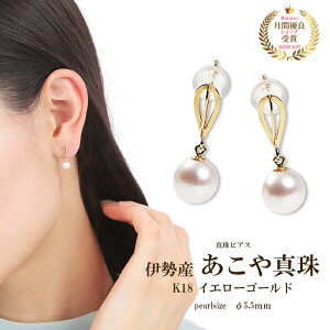 sAX ςȂ p[ ^ ^ 5.5mm ɐu {^ n AM[Ή ANZT[  Vv ig X^bhsAX h fB[X  18k k18 18 C