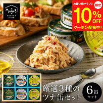 楽天市場】静岡 もつカレー 缶詰の通販