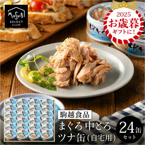 Ε ~Mtg ƂgI܂^Cv ɂ̃ci Ƃ ci 70g×24  ܂ Mtg zHi ci ʋl  pX^ ͂܂  nʋl 