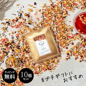 y9/15|Cg5{zv`Mtg   hCt[ceB[ 10g×10Zbg eB[gR eB[g J t[ceB[ v`Mtg ސE 300~炢 Mtg v[gv`M