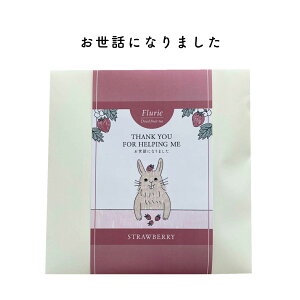 【30日ポイント5倍】プチギフト かわいい メッセージ ドライフルーツティー&フィナンシェ ティートリコ ティート 公式 感謝 転勤 退職 挨拶 お礼 お返し お菓子 お配り 大量 個包装 焼き菓子