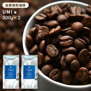 y15|Cg5{z҂Ď  X C uh  500g×2 1kg  R[q[   ̂܂ nC[Xg  ґ  ACX R[q[ IWi uh C