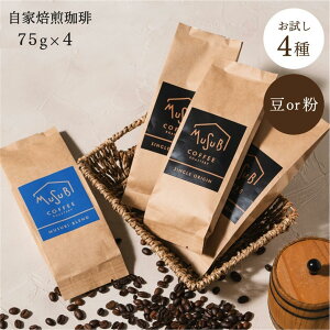 y12/4`15%OFFz҂Iׂ   X R[q[   ݔ 4  Zbg v300g /75g×4  uh RrA L}W OAe} [Xg 蓤 ҂