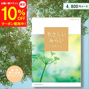 y10/4`}\10OFFzJ^OMtg  ₳݂炢 ӂ 4800~R[X SDGs I[KjbN  j j j oYj Vzj Cj Ԃ ސEj  