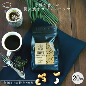 y15|Cg5{zFȍ YΏĂ  JV[ibc 72g  Y ґ ibc v`Mtg ސE a v[g v`v  fĂ  j ܂  