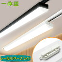 【楽天1位6冠】ダクトレール用ベースライト 40W形 トラフ型 器具一体型 LEDベースライト 配線ダクトレール照明 ダクトレール用ライト ライティングレール照明 一体型LED蛍光灯 薄型プラグ レールライト レール照明器具 取付簡単 天井照明 防虫 防塵 省エネ 高輝度 高演色性