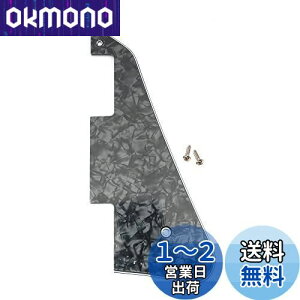 yzMusiclily Pro X|[sbNK[h Mu\USA LP _GLM^[pA4PubNp[