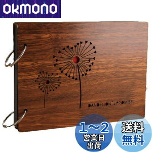 yzfogman Ao  v[g Ԃ q Mtg ʐ^ LO 30(60y[W) (ۂ)