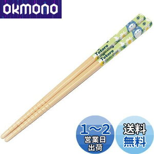 yzXP[^[(Skater)  | 16.5cm gg fCW[ Wu { ANT2