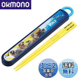 yzXP[^[(Skater) qp  Zbg 16.5cm qp ٓp RۉH j̎q ̎q J₷XCh { WVbN 24 j̎q ABS2AMAG