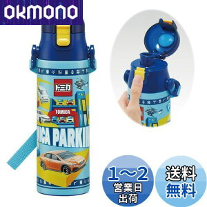 yzXP[^[(Skater) qp XeX   580ml g~J 24 qɗDyʃ^Cv j̎q ۗp waterbottle X|[c{g  LbY q ǂ r SDC6N-A