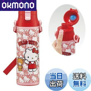 yzXP[^[(Skater) qp XeX   580ml n[LeB 낤 TI qɗDyʃ^Cv ۗp waterbottle X|[c{g 킢LbY q 