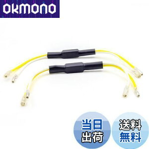 yzAoling ECJ[[ oCNp nCth~R 12V 5W 29 nQLED̕גRC hhk z2{Zbg