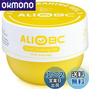 yzALIOBC WFN[i[ ԓ| ȒP|XC ׂɃS~ƃzRz L[{[h⃊R̂ԉXbL  ItBX ԗp |ObY 250g 