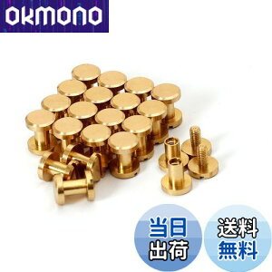 yzVJSXN[ 20 8×4×6mm ^JglW R` obO xg т傤 xbg X^bY p[c e xbg X^bh lW U[Ntg DIY nhCh p[