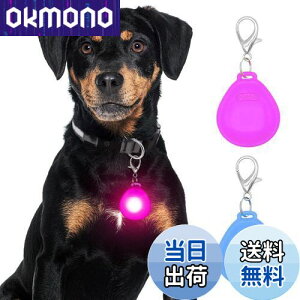 yzDolitego 2 Ԃ̎UppCg - F̍pփCg NbvI^O ԃjOCg ( + sN)