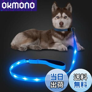�y���������zCandofly ���ˌ^ LED ���p���[�h - �ÈłŌ��錢�p���[�h USB �[�d���Ɩ��t�����p���[�v�A4 �t�B�[�g�̑ϋv���̂���ϐ����_�Ō��p���[�h�A�y�b�g�̌��̖�̎U���p (��)