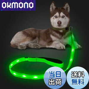 yzCandofly ˌ^ LED p[h - ÈłŌ錢p[h USB [dƖtp[vA4 tB[g̑ϋv̂ϐ_Ōp[hAybǧ̖̎Up ()