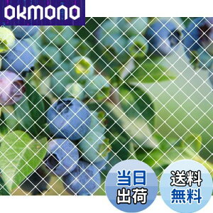 yzh lbg 悯lbg|lbg _Ɨpi ƒ؉lbg c [YANHAIDIDAI]ʎ h JX悯 ObY ʎhbhlbg LEh~΍ lbg