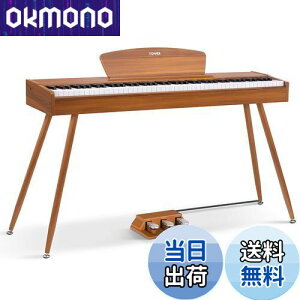 yzDonner dqsAm 88 n}[ANbV 3{y_ X^h A_v^[t { F DDP-80