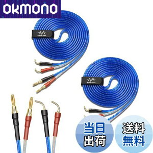 yzyoinz 2{1g LRZbg yoiivOHρz by yWYVERN AUDIOz 24kbL vO Xs[J[ P[u in_ς By WYVERN AUDIO (oiivO̐jvO / 