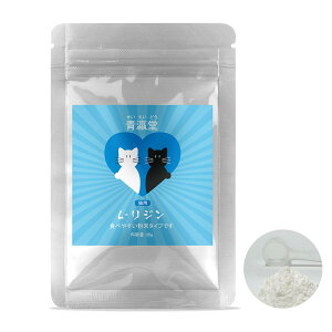 yzi(ǂ)x L-WLp(20g) ^₷ɍו^Cv vʃXv[t