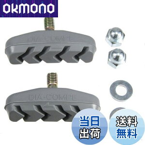 yzuaXg(BRIDGESTONE) VKCu[Lpu[LV[ 4892145