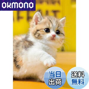 yzG|bN 108s[X WO\[pY /ybg ˂ ! (18.2×25.7cm) 01-067 ̂t wt _t EPOCH