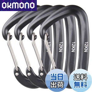 yzAzarxis bNJri ω׏d 12KN(1200kg) oRt A~ Jri DO bLO L[O Eh~ y @\ nbN Lv AEghA