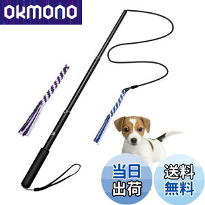 yzpފƂ [v   hM[} Pp p ފƌ^ OߐLkł 2pt 3`5Jɔzς