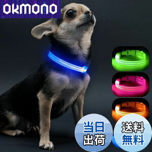 yzVisinite LED, ^ U CgUSB[d, qLɓK߉\Ȓ, y, Â  300m悩ڎ\,  Cg邠ȂɏȌLڂɌĈ