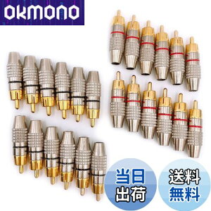 yzMeliore bL RCA vO [q ͂ X ^Cv IX PLUG TYPE ^Cv B P[u  ԍ bh ubN 24 Zbg