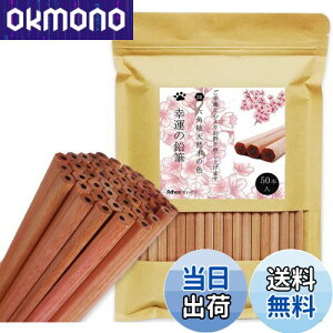 yzAdhereM VR؉M 2B Zp 50{҂ Vtg _炩KAq̊wZ̏A`Ac^AwAܕiAŵ߂̉M  (SȂE50{)