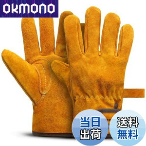 yz[Fieekty] ϔMO[u Lv  o[xL[ AEghApϔM yϔMiz LȂ v ω dXg[u Α n |p Ɨp tz 