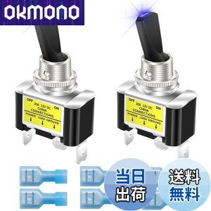 yzKiligen bJ[CgtgOXCb` 2 12V 30A ϋv [VOJ[   SPST I/It gOXCb` LED C~l[V 12mm TCY (u[)