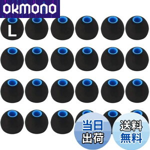 【送料無料】A-Pcas イヤーピース 2種類硬度のシリコンの組み合わせたハイブリッドイヤーピース Lサイズ24個入り 遮音性 重低音強化 Sony用 1000xm5用 1000xm4用 内径ダイヤ約3.8mm〜4.5mmカナル型イ