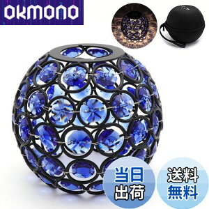 yzBATOT S[[ VF[h NX^ ^VF[h S[[ ^pNX^VF[h Lv AEghA Goal Zero LIGHTHOUSE Micro FLASHp