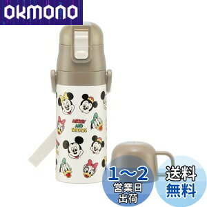 yzXP[^[(skater) qp XeX  2way  420ml Rbv 350ml ~bL[&tY NbLO qɗDyʃ^Cv ̎q j̎q ۉEۗfBYj[ e