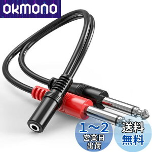 yzXeI m ϊvO 3.5mmXeI~jWbNX- 6.35mmmWvOIX×2 I[fBIϊzP[u 10cm wuernine I[fBIC^[tF[X Xs[J[ 