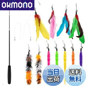 yz14 _Zbg L ColiChili L炵 VR Ĥ pH11 _t pނ莅2 ԂԂ ybgObY ˂pi