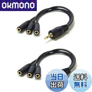 yzwuernine ~jvO P[u CzWbN I[fBIzP[u 3.5mmXeI CzXvb^[ [2{]