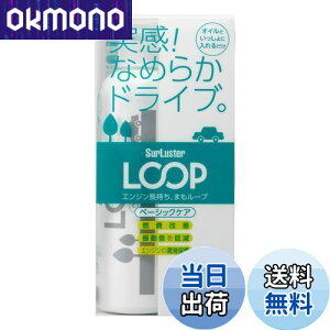 yzSurLuster(VAX^[) [v x[VbNPA ʎ GWICY RP Uጸ GWጸ V oN IC  RP LP-48